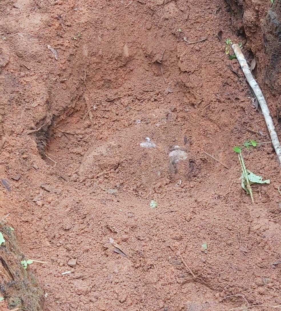 Vítima estava enterrada em uma cova  — Foto: Polícia Militar