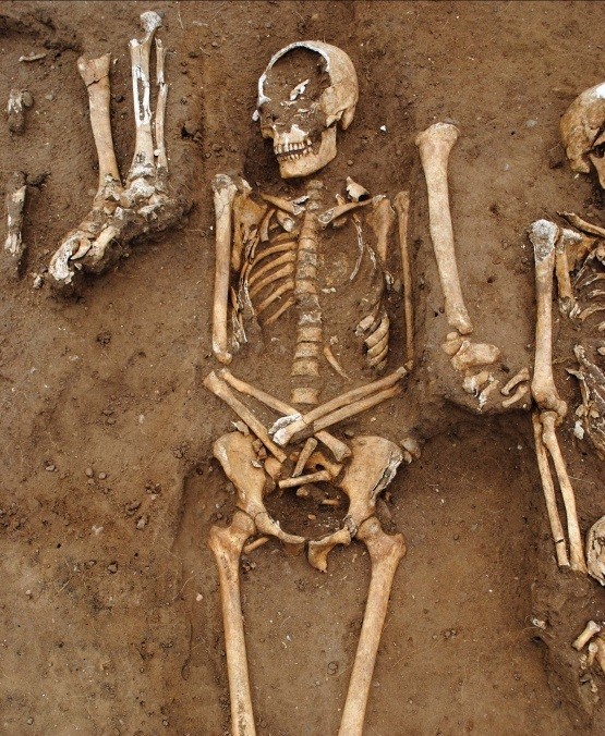 Esqueletos de vítimas da Peste Bubônica descobertos em vala comum na Inglaterra (Foto: Antiquity/University of Sheffield)