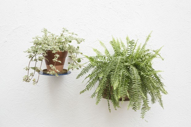 Plantas dentro de casa: 10 espécies para ter já (Foto: Reprodução/Casa Vogue)