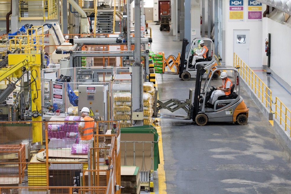 Funcionários trabalham em fábrica de ração, em São Paulo; investimento na compra de máquinas voltou a crescer (Foto: Marcelo Brandt/G1)