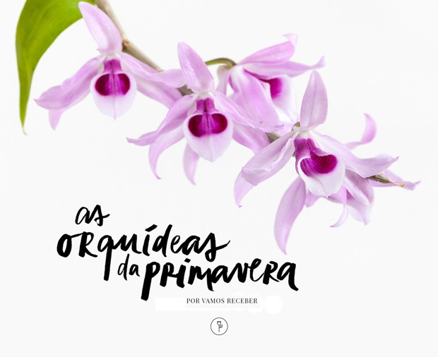 Orquídeas da primavera: descubra quais espécies usar (Foto: Vamos Receber)
