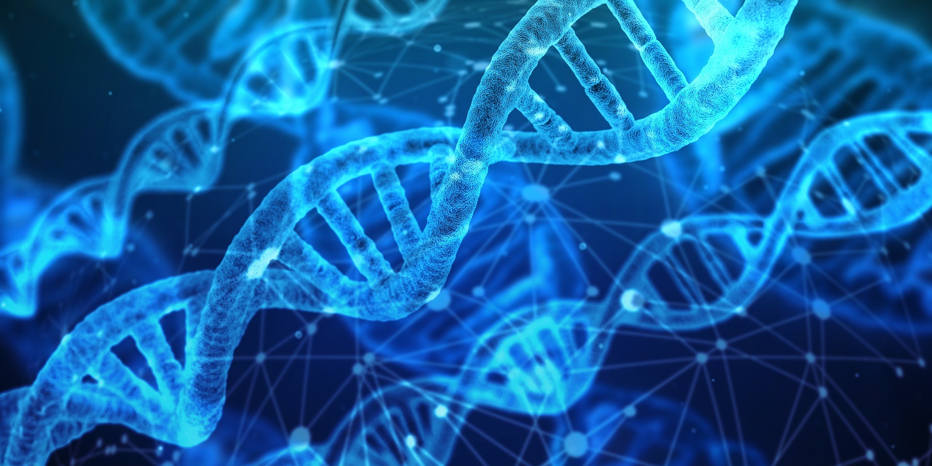 Genética e DNA são dois temas bastante lembrados na prova de biologia do Enem (Foto: Pixabay)