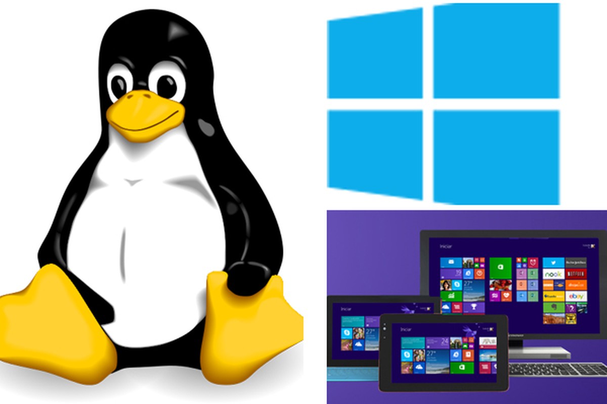 O Linux é a melhor opção para evitar vírus no PC? | Blog do Ronaldo ...