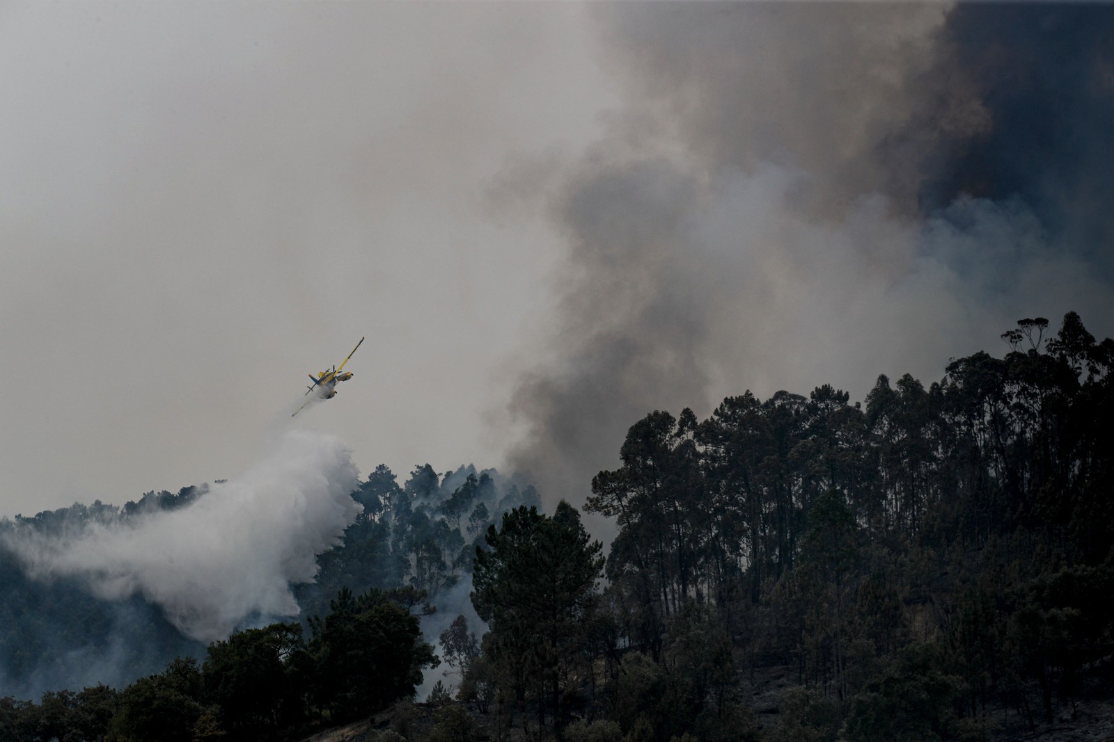 Apenas em Mangualde, 200 bombeiros, cinco aeronaves e 40 viaturas tentam conter um incêndio — Foto: Patricia de Melo Moreira / AFP)
