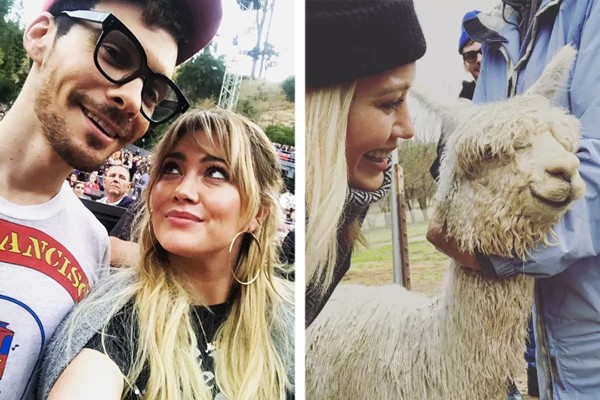 Matthew Koma deu uma alpaca para Hilary Duff (Foto: Reprodução / Instagram)