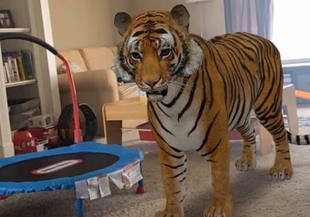 Descubra Como Projetar Animais 3d Com A Ferramenta Do Google Da Ate Para Colocar Um Tigre Na Sua Sala Revista Glamour Must Share