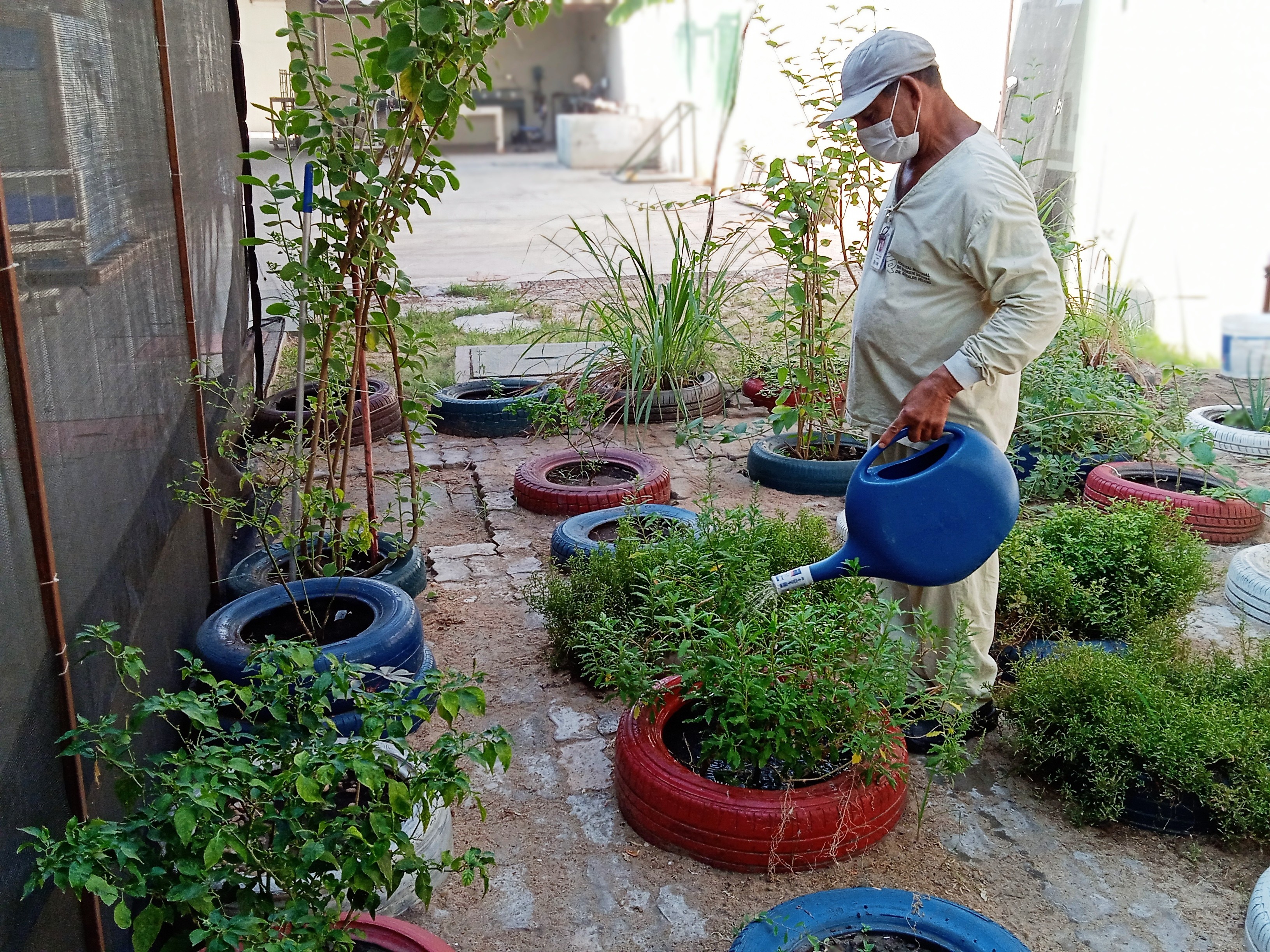 Projeto de horta hospitalar contribui para segurança alimentar de pacientes no Pará 