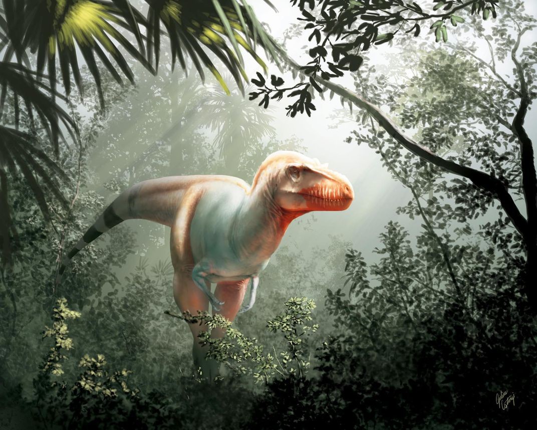 Chamado de Thanatotheristes, o fóssil de 79 milhões de anos é o animal mais antigo da família descoberto ao norte da América do Norte (Foto: Jared Voris/Cretaceous Research)