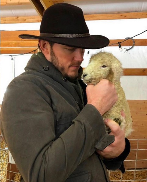 O ator Chris Pratt em sua fazenda (Foto: Instagram)