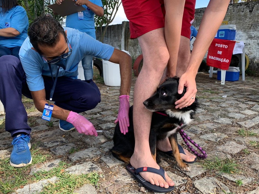 Dia D da Vacinação Antirrábica acontece neste sábado em Natal — Foto: Anna Alyne Cunha/Inter TV Cabugi