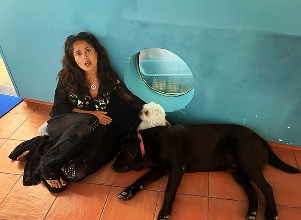 Selma Blair e alguns cachorros na Itália (Foto: Reprodução / Instagram)
