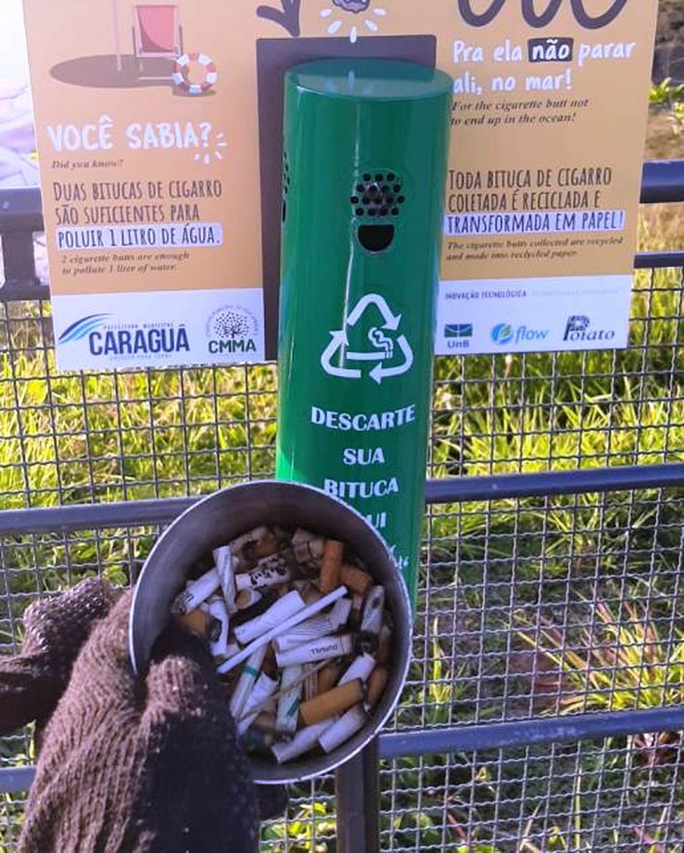 Projeto recolhe mais de 100 mil bitucas de cigarro em praias de Caraguatatuba — Foto: Divulgação