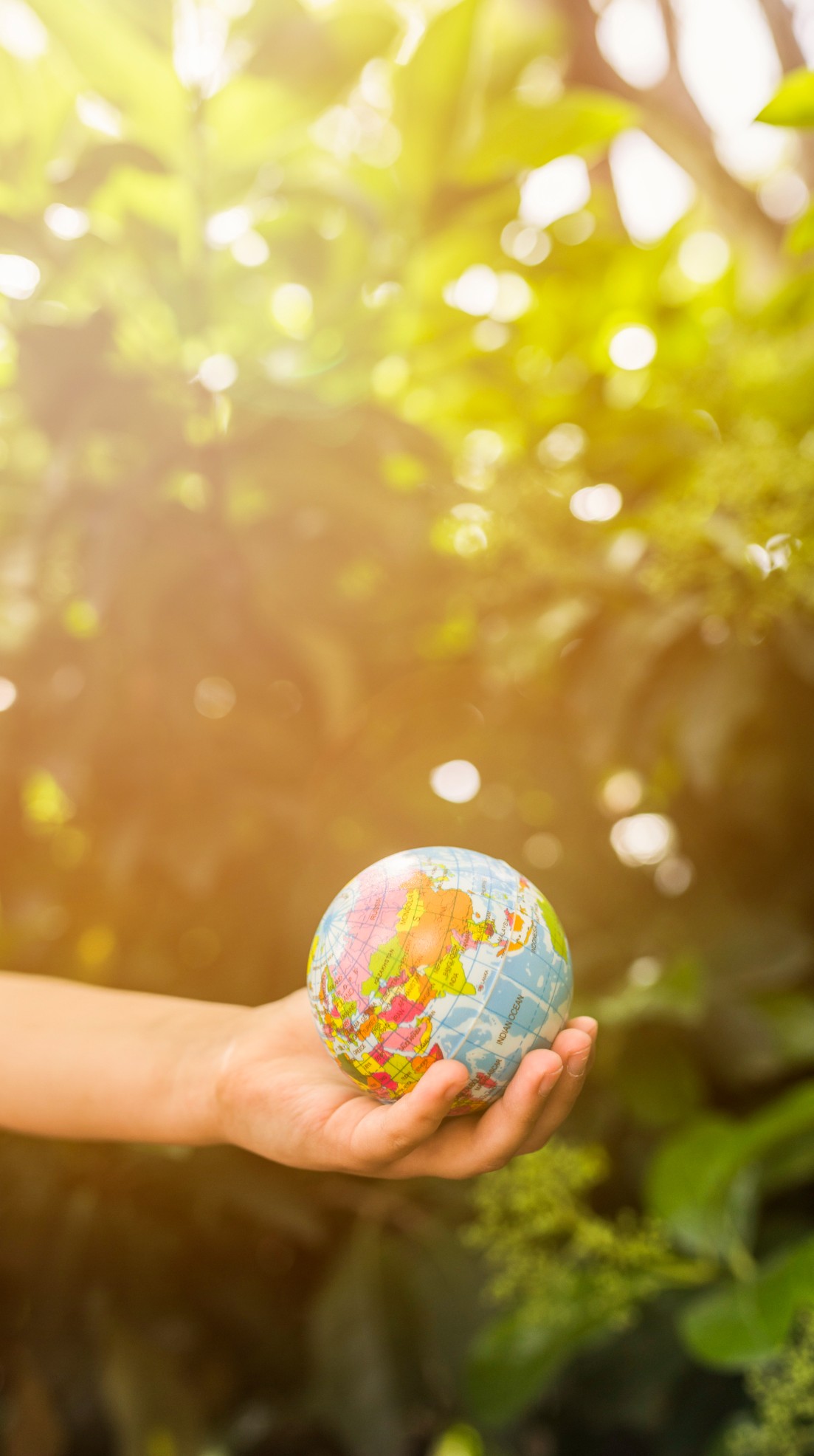 Suas ações impactam o planeta? este aplicativo te ajuda a descobrir