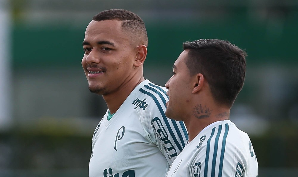 Veja o que o Palmeiras planeja para Papagaio e Fernando no elenco profissional