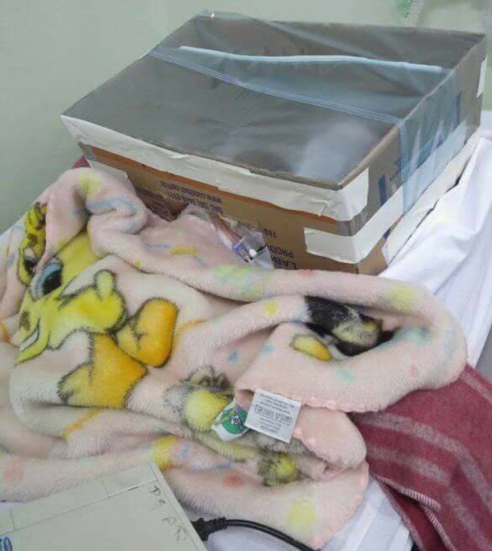 Caixa de papelão serviu como tenda de oxigenação até ambulância chegar em Santa Bárbara d'Oeste (Foto: Ariany Duarte/Arquivo pessoal)