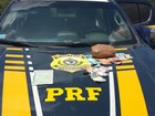 PRF prende 10 por crimes eleitorais e apreende armas e munições em RR
