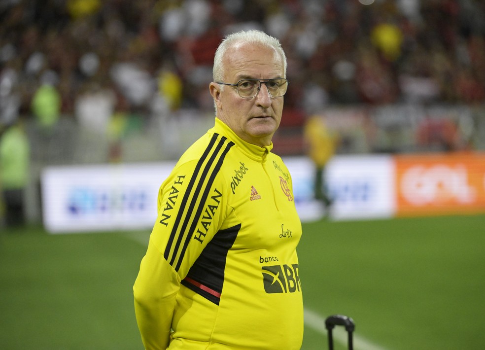 Dorival J&uacute;nior no comando do Flamengo em jogo pelo Brasileir&atilde;o &mdash; Foto: Andr&eacute; Dur&atilde;o