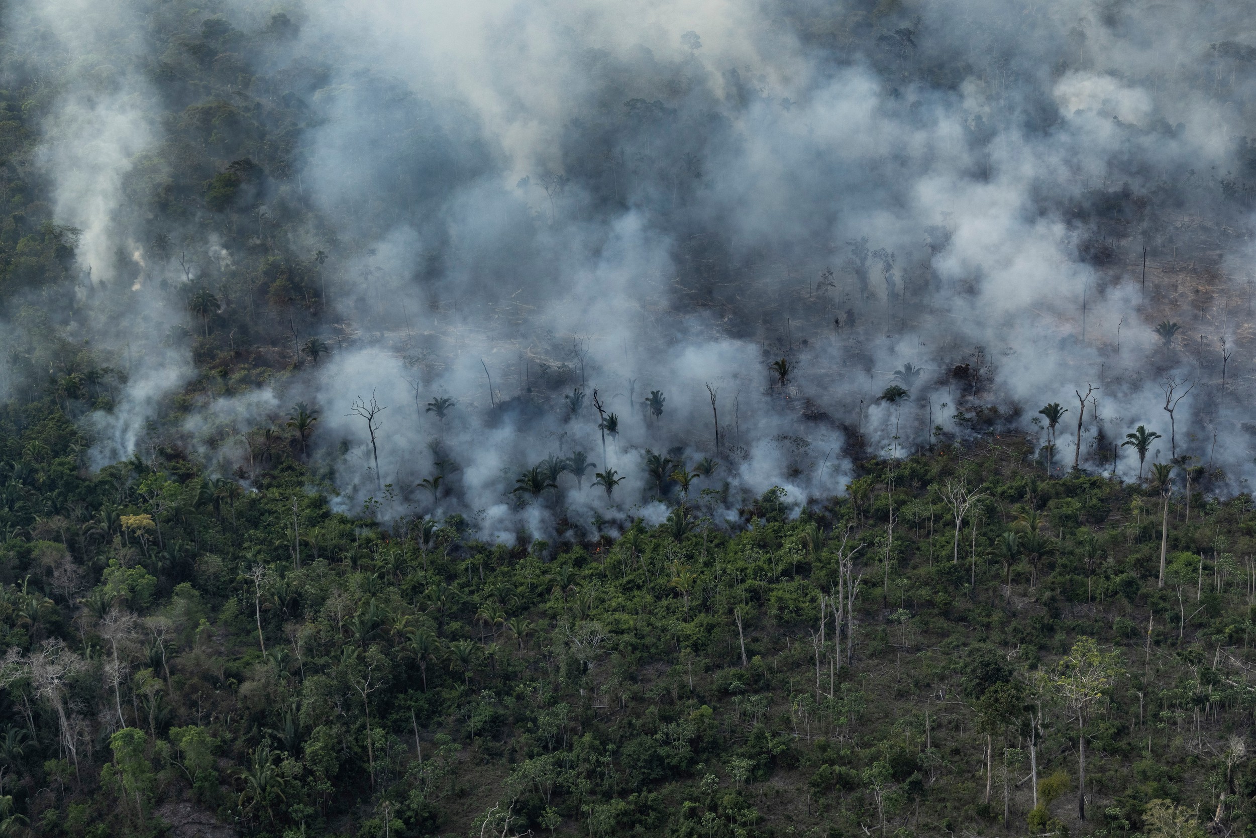 Vista aérea de um desmatamento na Amazônia para expansão pecuária, em Porto Velho, Rondônia. (Foto: Victor Moriyama / Amazônia em Chamas)