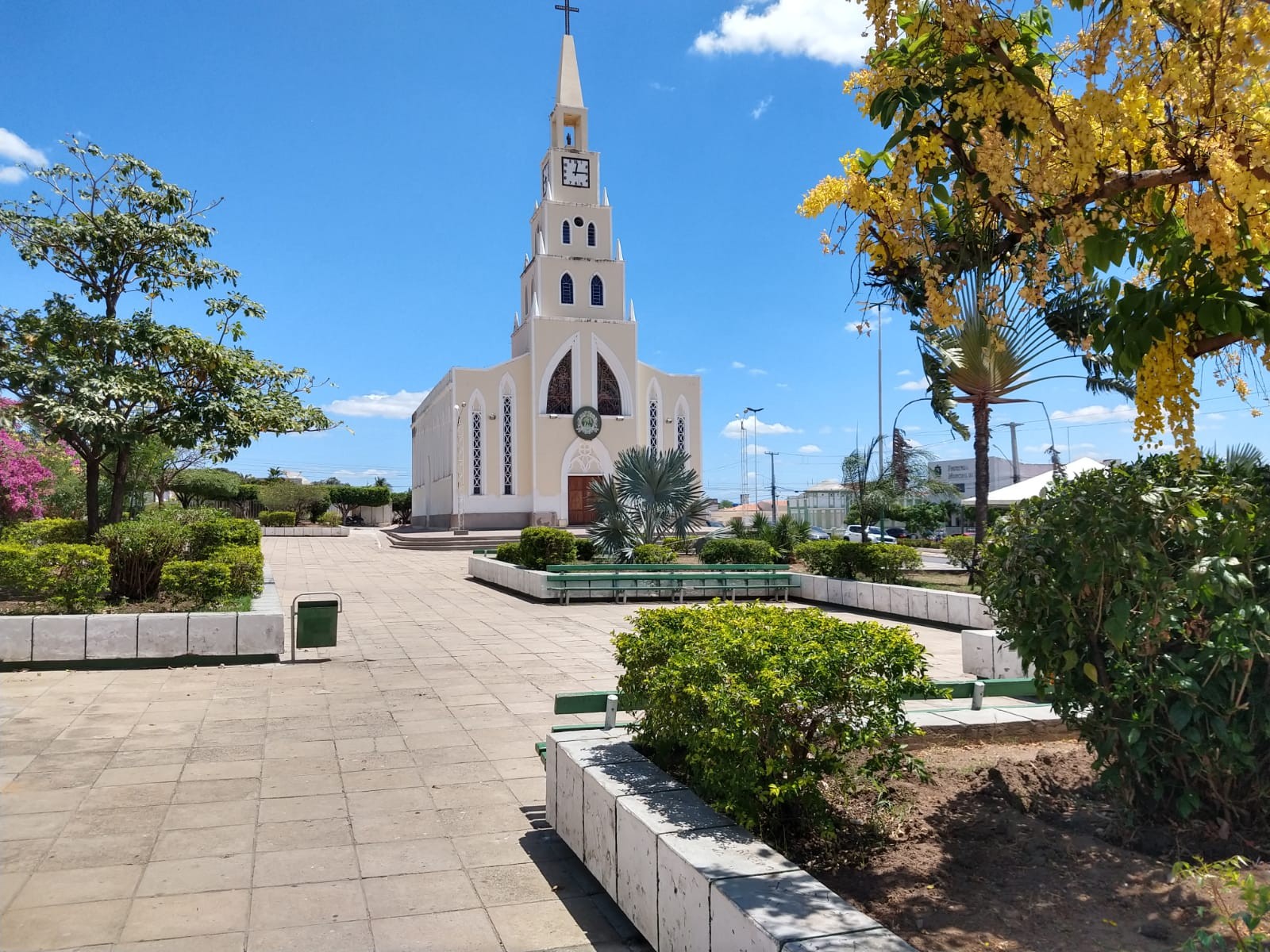 Confira o total de casos, curas e mortes de Covid-19 no dia 14 de fevereiro em Petrolina e região