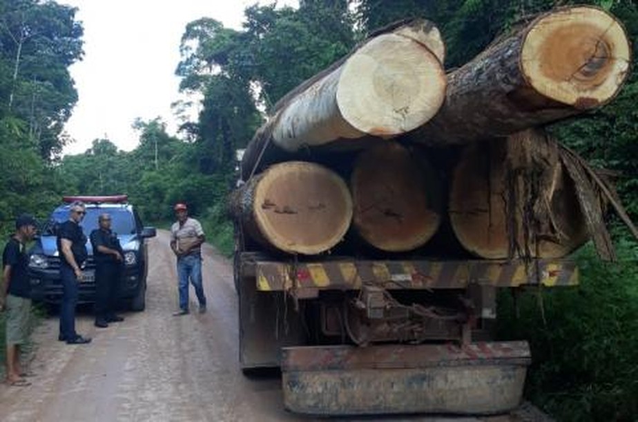 Cinco pessoas sÃ£o presas por transportar madeira em extinÃ§Ã£o no PA