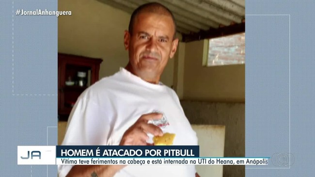 Homem foi atacado por pitbull em Anápolis e está internado em UTI