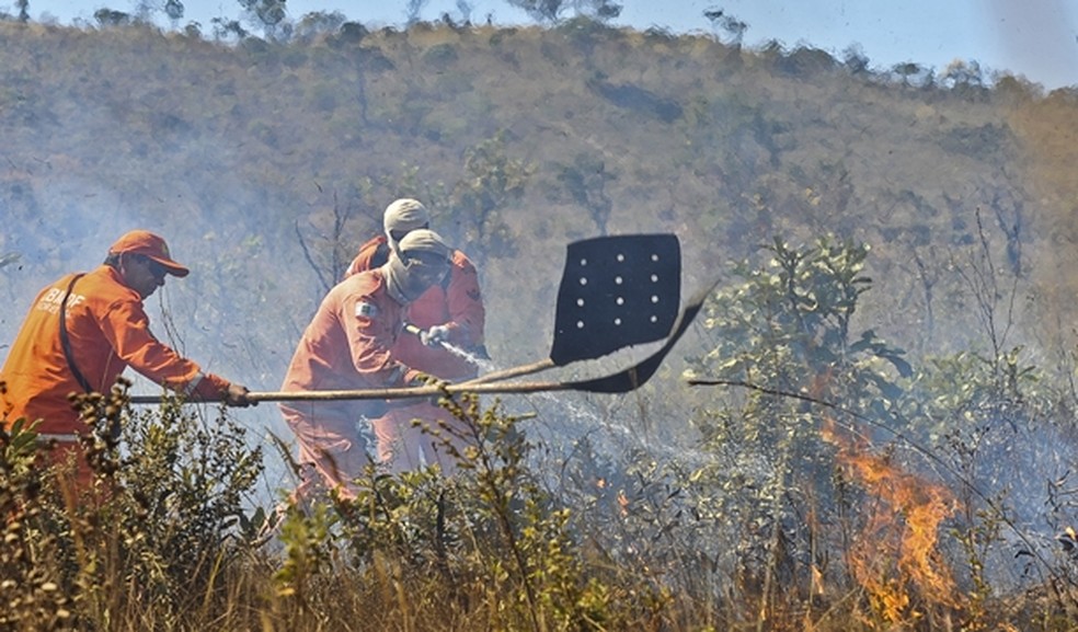 Brigadistas do Instituto Brasília Ambiental combatendo foco de incêndio  — Foto: Instituto Brasília Ambiental/Divulgação