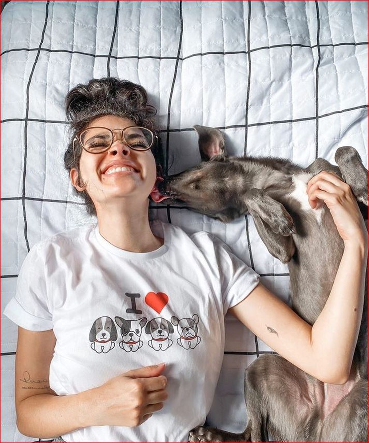 Cachorro ‘influencer’ Hunter faz sucesso com mais de meio milhões de seguidores nas redes sociais |  Minas Gerais