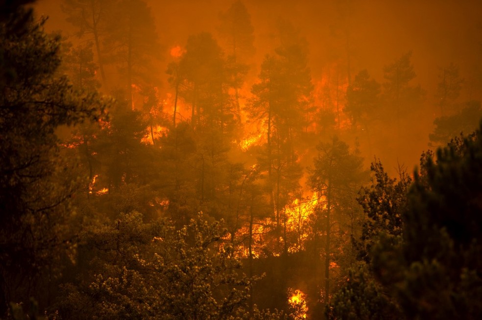 ONU: compromissos climáticos estão muito longe de cumprir a meta de 1,5°C