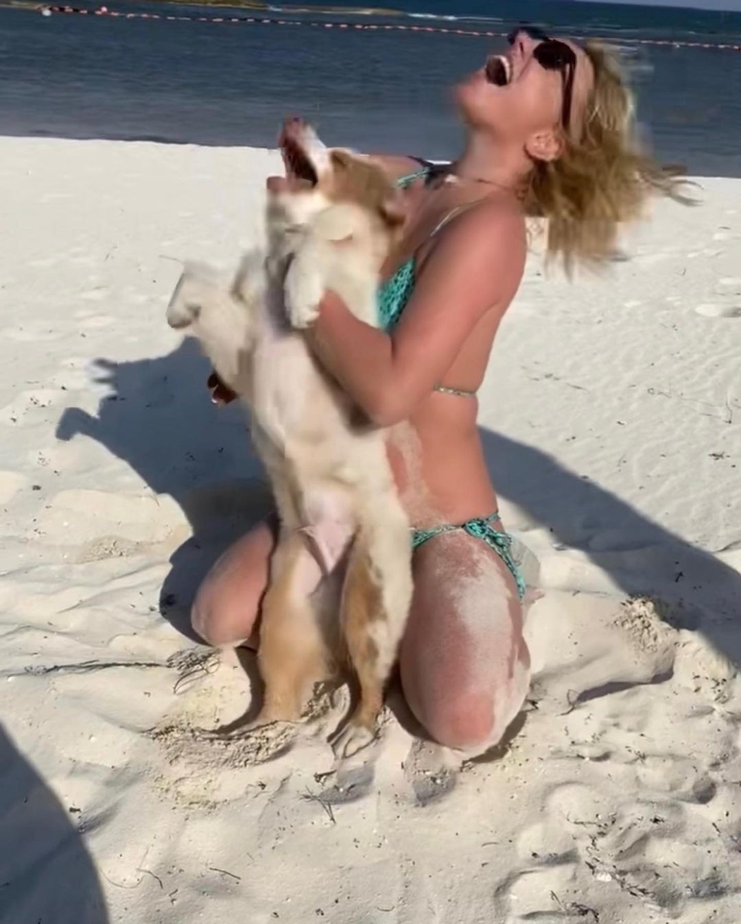 Britney Spears posa com Sawyer, seu cachorro (Foto: Reprodução Instagram)