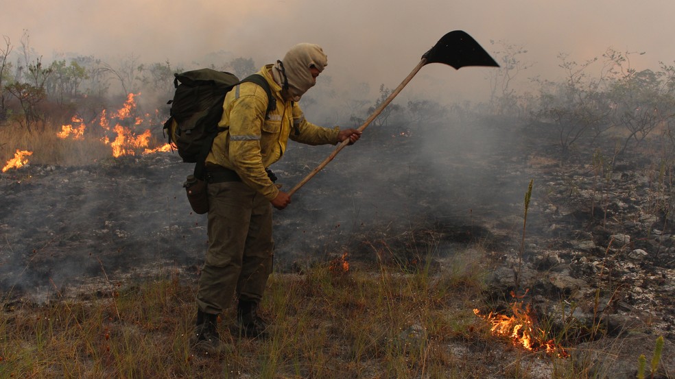 Brigadista combate chamas, em imagem de arquivo — Foto: Hélio Marinho/TV Globo