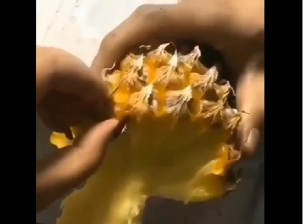 Um jeito mais fácil de comer abacaxi (Foto: Reprodução/Instagram)