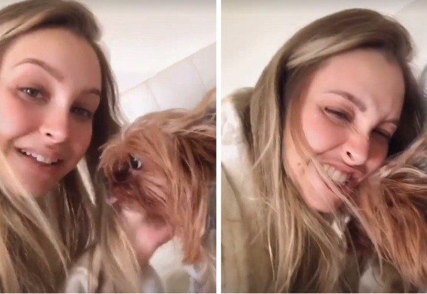 Carla Diaz e Chaplin, seu cãozinho de estimação, estão no apartamento da atriz no Rio (Foto: Reprodução/Instagram)