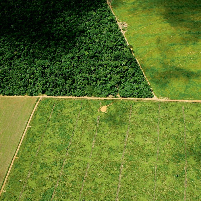O desmatamento para plantação de soja (na foto, no estado de Mato Grosso) impacta as nascentes dos principais rios que banham o Pantanal. (Foto: Getty Images)
