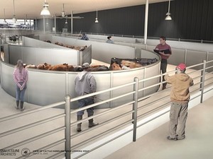 Terminal terá área para pets e até para gado (Foto: Divulgação)