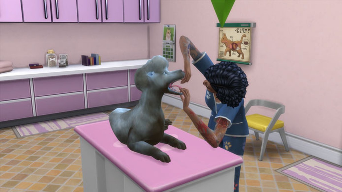 Confira dicas para ser um veterinário em The Sims 4 Gatos e Cães