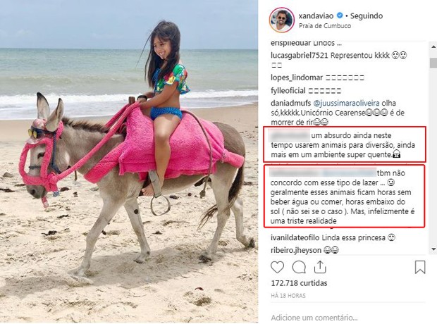 Fãs desaprovam o fato de Xand permitir que sua filha ande em cima de um burro (Foto: Reprodução / Instagram)