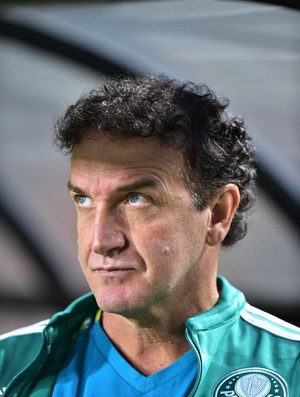 Flavio Canuto  Blog do Torcedor do Palmeiras