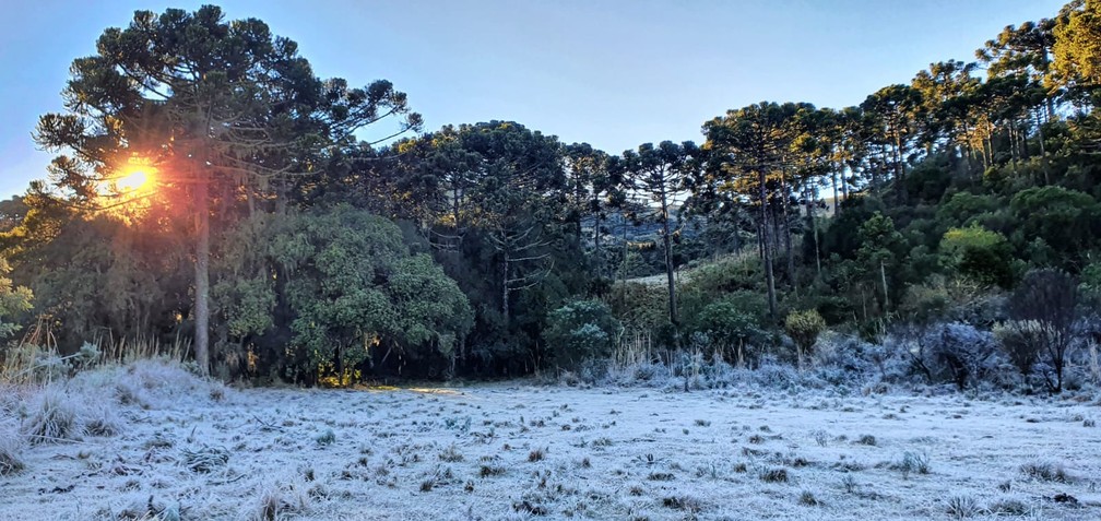 Amanhecer deste sábado foi frio e com geada em São Joaquim — Foto: Mycchel Legnaghi/ São Joaquim Online