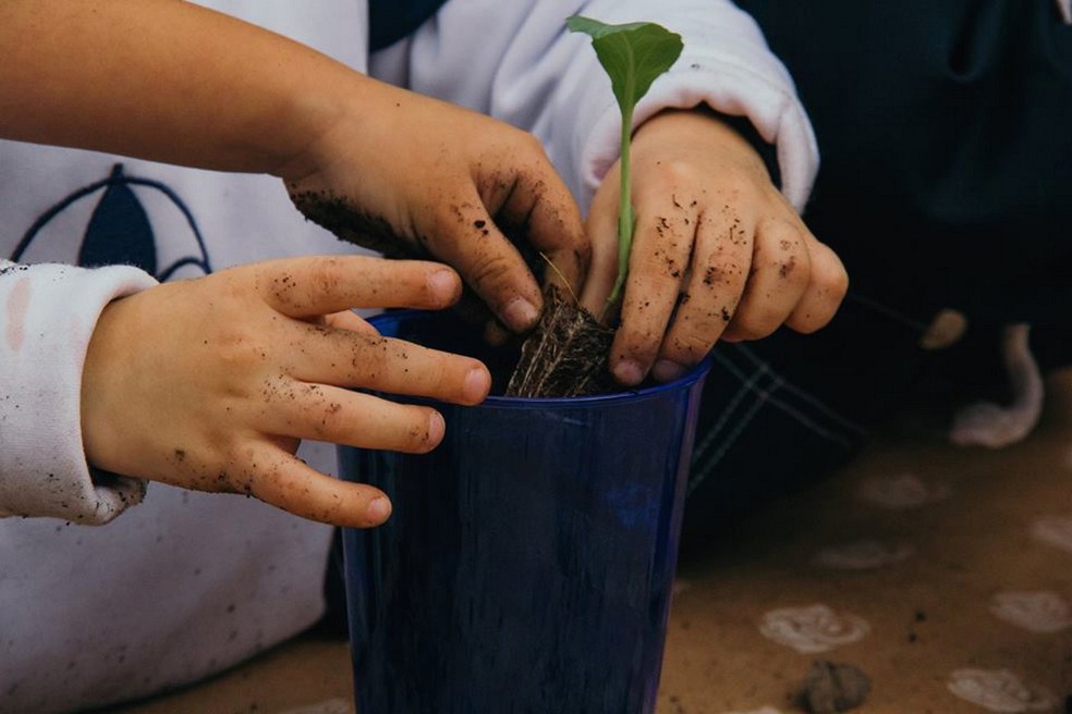 Oficina "Minha pequena horta" é gratuita e busca promover a aproximação entre as crianças e a natureza. — Foto: Divulgação.