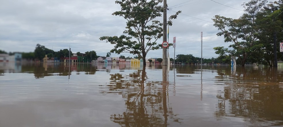 Nível do Rio Acre atinge 17,34 metros e mais de 2,8 mil pessoas estão desabrigadas em Rio Branco — Foto: Eldérico Silva/Rede Amazônica