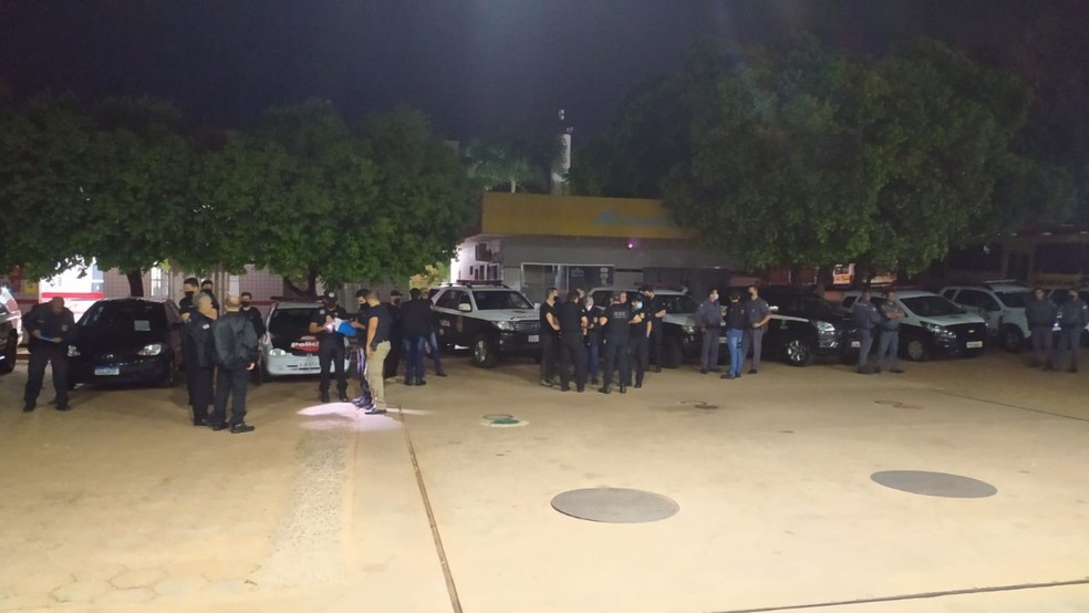 Operação Cutelo investiga crimes de furto e abate de gado em Mirante do Paranapanema — Foto: Polícia Civil