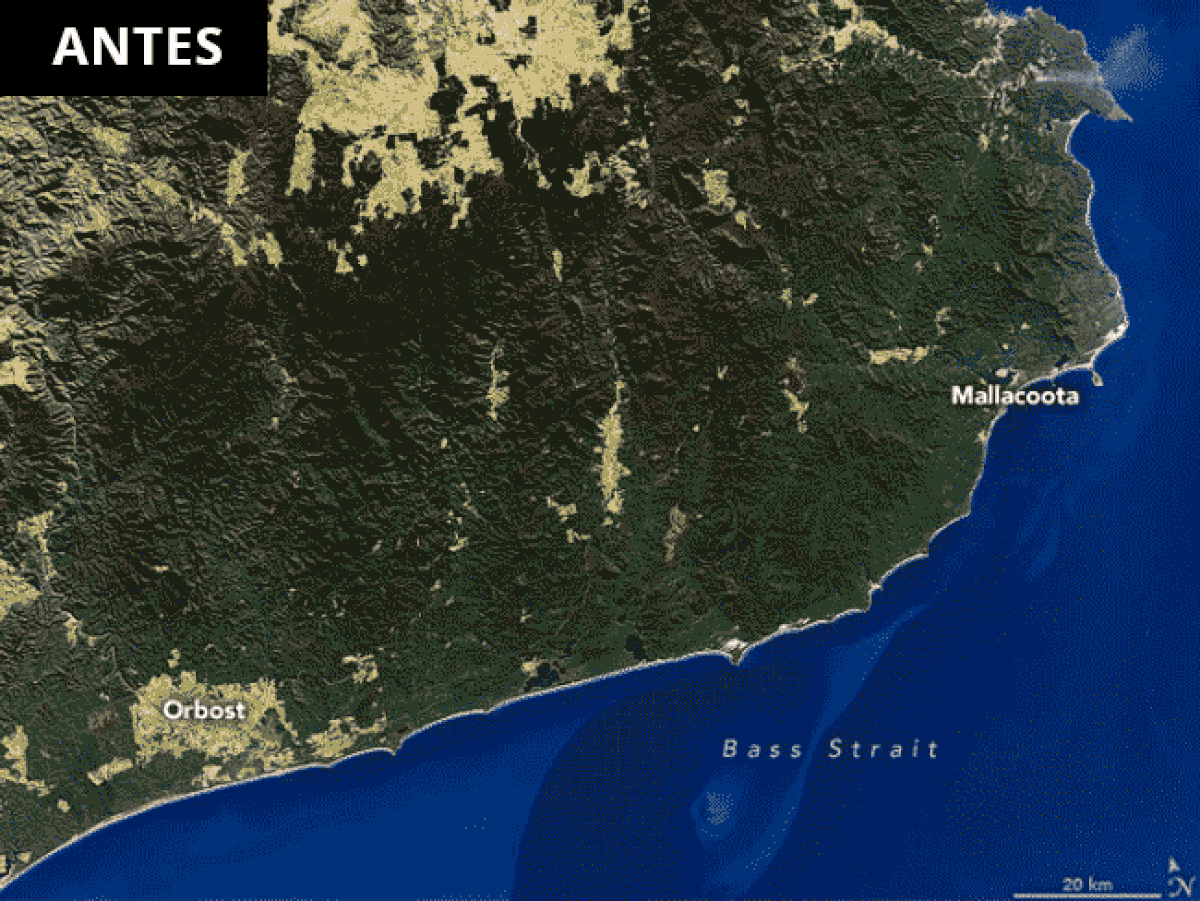 Nasa Mostra Imagens De Satelite Com Antes E Depois De Incendios Na Australia Mundo G1