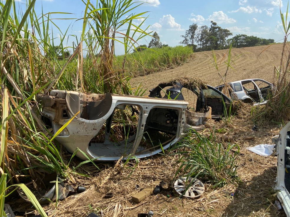 Veículos estavam escondidos em canavial de Iracemápolis — Foto: Edijan Del Santo/ EPTV