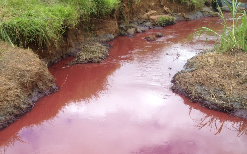 Polpa de minério de ferro atingiu o Ribeirão Santo Antônio após mineroduto da Anglo American (Foto: Defesa Civil de Santo Antônio do Grama/Divulgação)