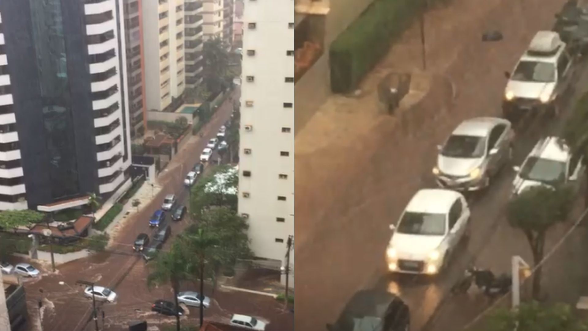 Pancada de chuva causa pontos de alagamento e interdições em Ribeirão Preto, SP; Vídeo