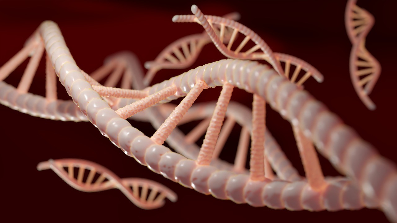 Cientistas descobrem mutações genéticas que podem reduzir expectativa de vida (Foto: Pixabay)