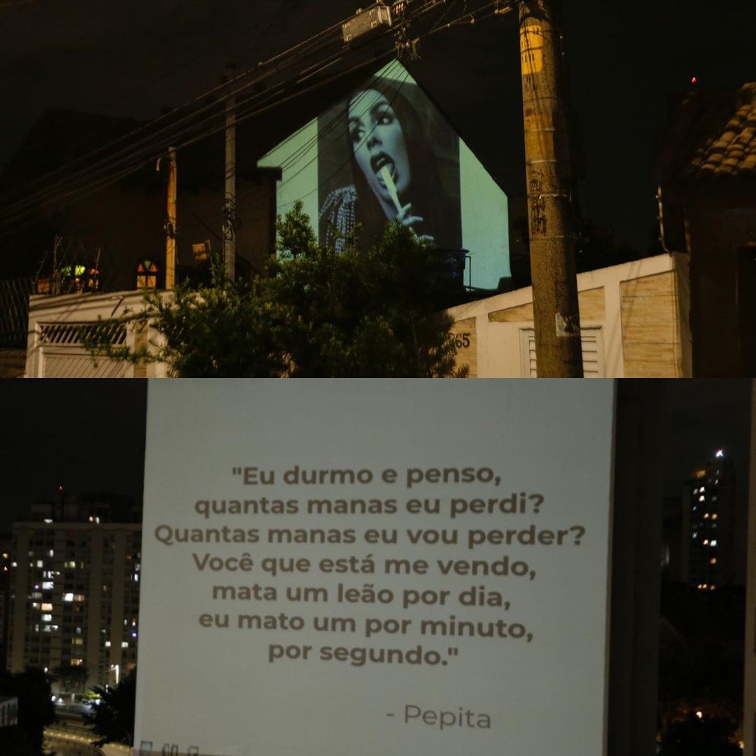 Declaração de Pepita (Foto: Divulgação)