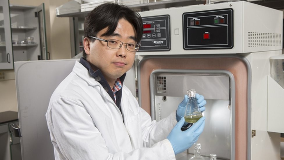 O pesquisador Seokheun Choi trabalha há cinco anos nas baterias que usam papel e são alimentadas por bactérias (Foto: Jonathan Cohen/Binghamton University)