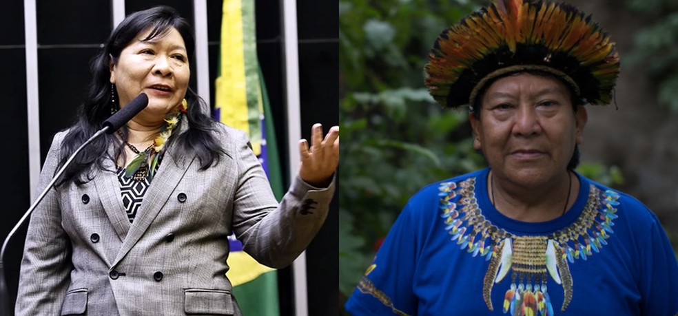 Joênia Wapichana e Davi Kopenawa são dois líderes indígenas de Roraima — Foto: Reprodução/Câmara Federal/Arquivo e ISA/Divulgação/Arquivo