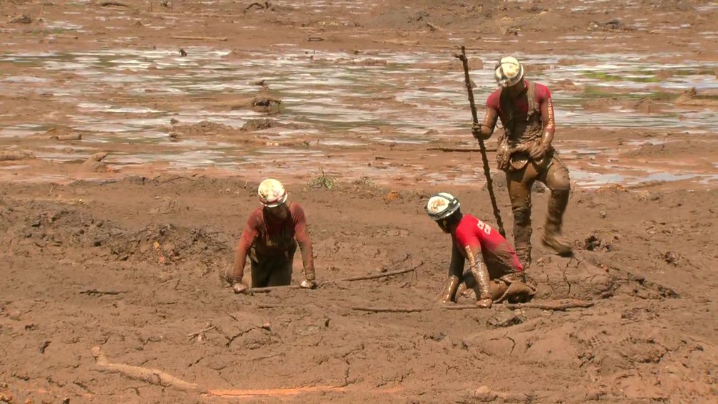 Bombeiros usam cajados para perfumar a lama em busca de corpos ou sobreviventes — Foto: Reprodução/GloboNews